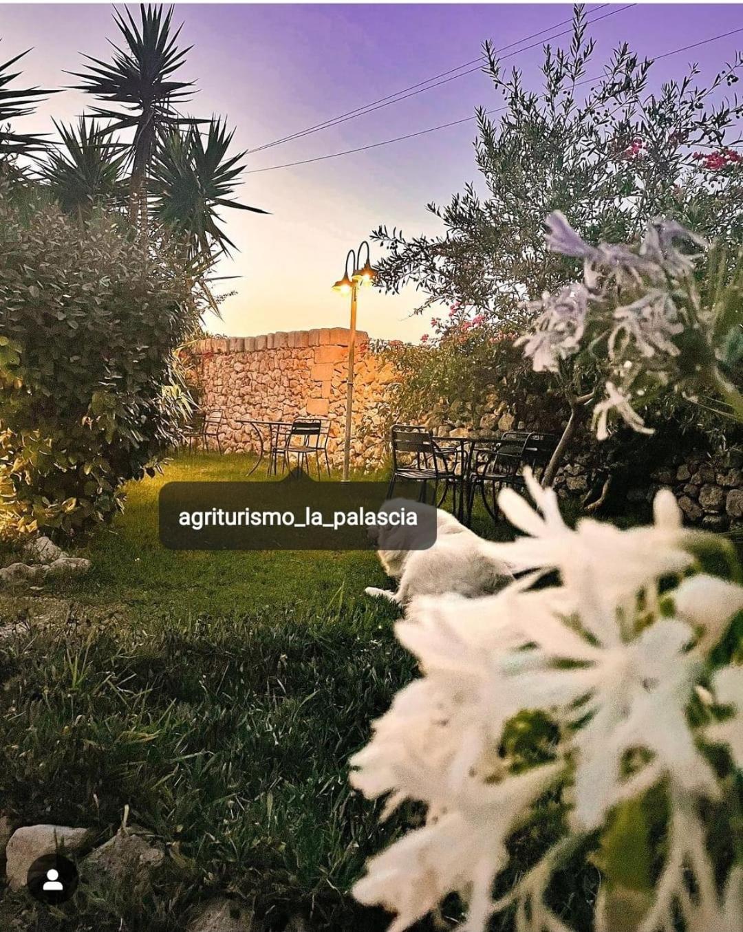 Agriturismo La Palascia Masseria Agreste Otranto Exterior photo